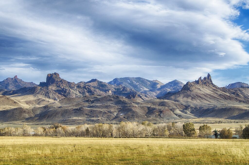 Beef - open range view
