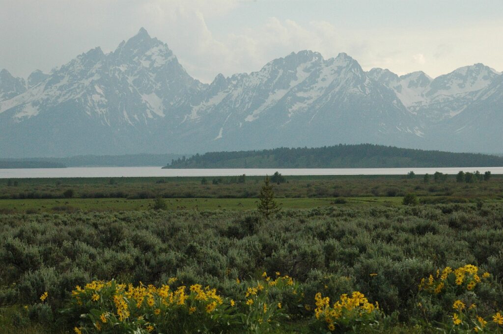 Cooking Food Wine - Open range view